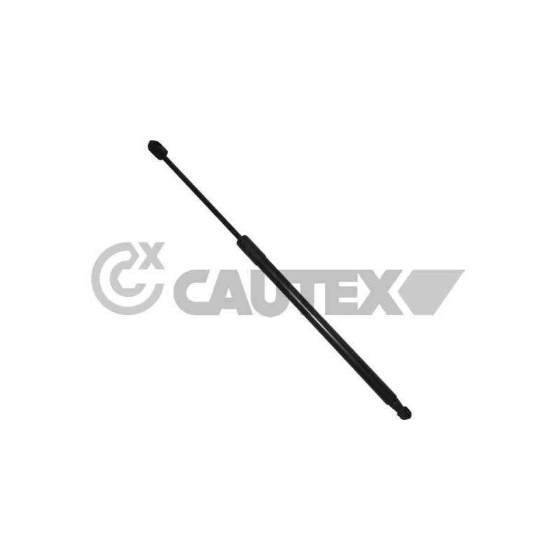 Pistoncino ammortizzatore - CAUTEX GOMMA E PARTI MOTORE
