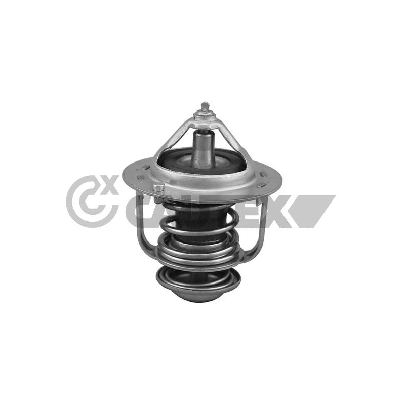 Termostato raffreddamento - CAUTEX GOMMA E PARTI MOTORE