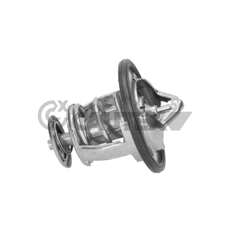 Termostato raffreddamento - CAUTEX GOMMA E PARTI MOTORE