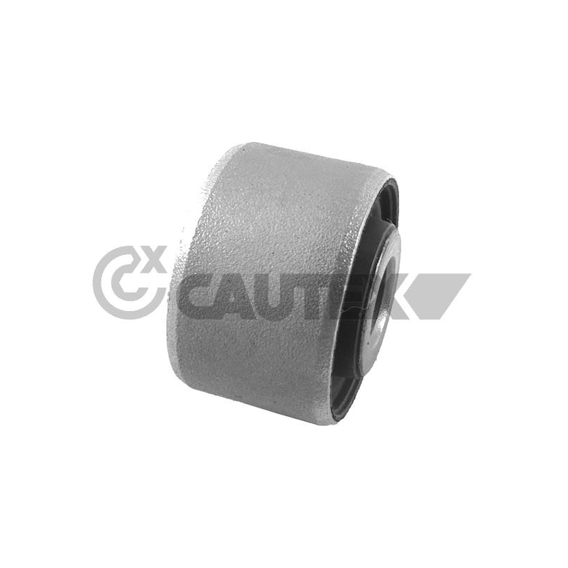 Braccio oscillante asse posteriore - CAUTEX GOMMA E PARTI MOTORE