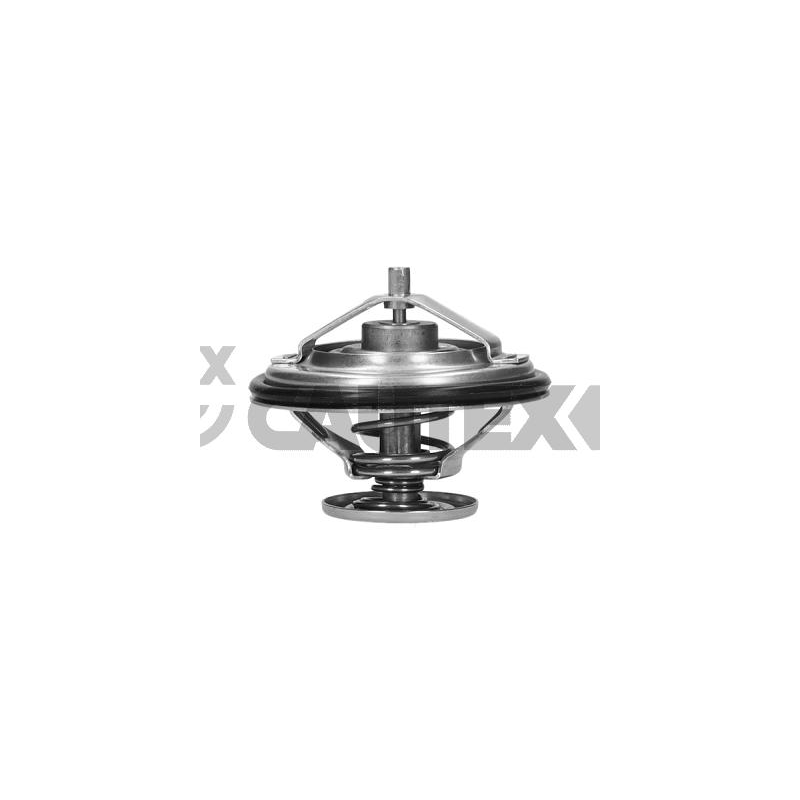 Termostato raffreddamento - CAUTEX GOMMA E PARTI MOTORE