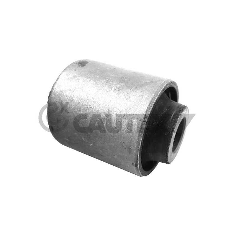 Braccio oscillante asse posteriore - CAUTEX GOMMA E PARTI MOTORE