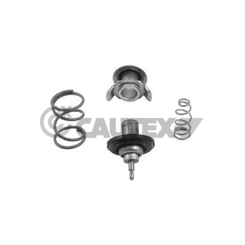 Termostato raffreddamento - CAUTEX GOMMA E PARTI MOTORE