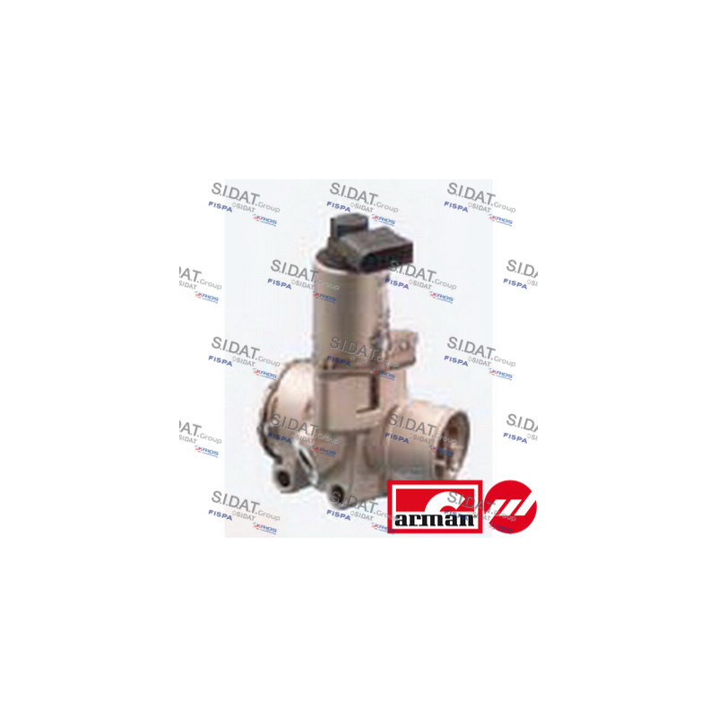 Valvola EGR - SIDAT