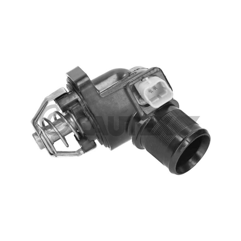 Termostato raffreddamento - CAUTEX GOMMA E PARTI MOTORE