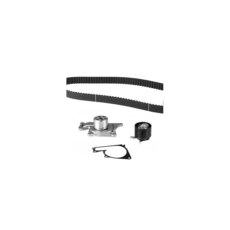 Tendicinghia distribuzione - GRAF