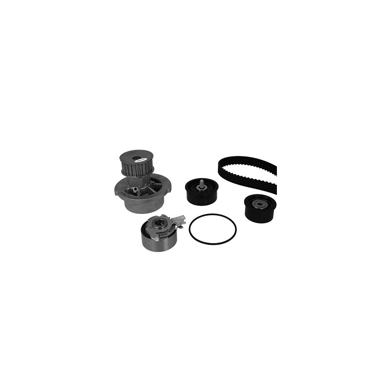 Tendicinghia distribuzione - GRAF