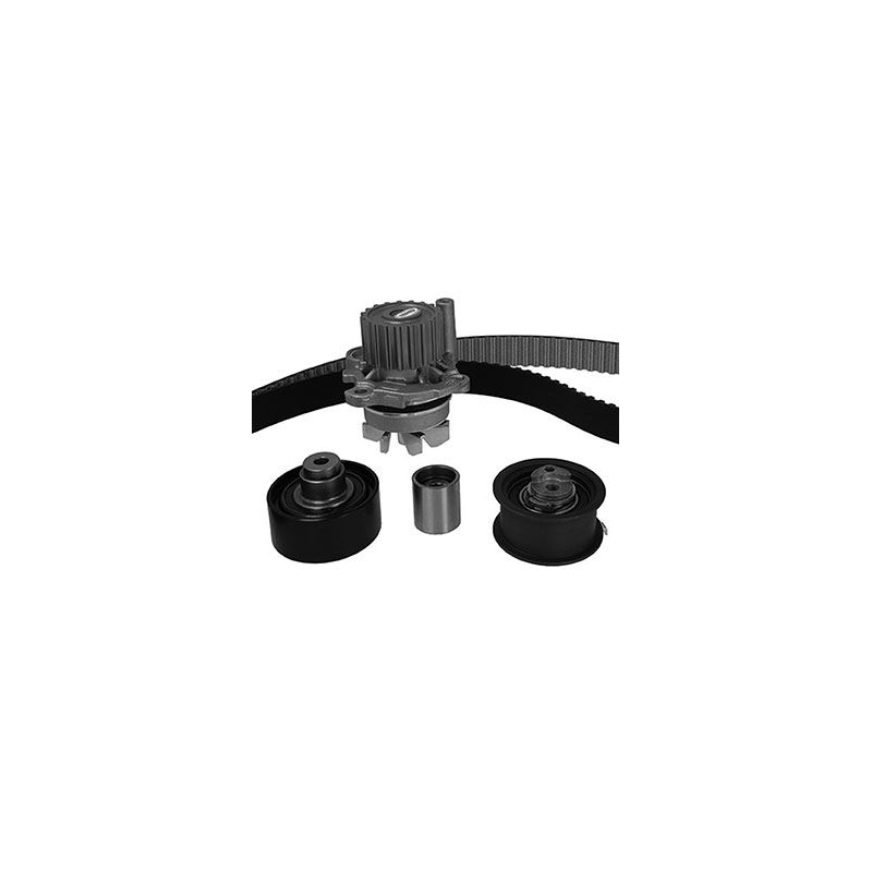 Tendicinghia trapezoidale - GRAF