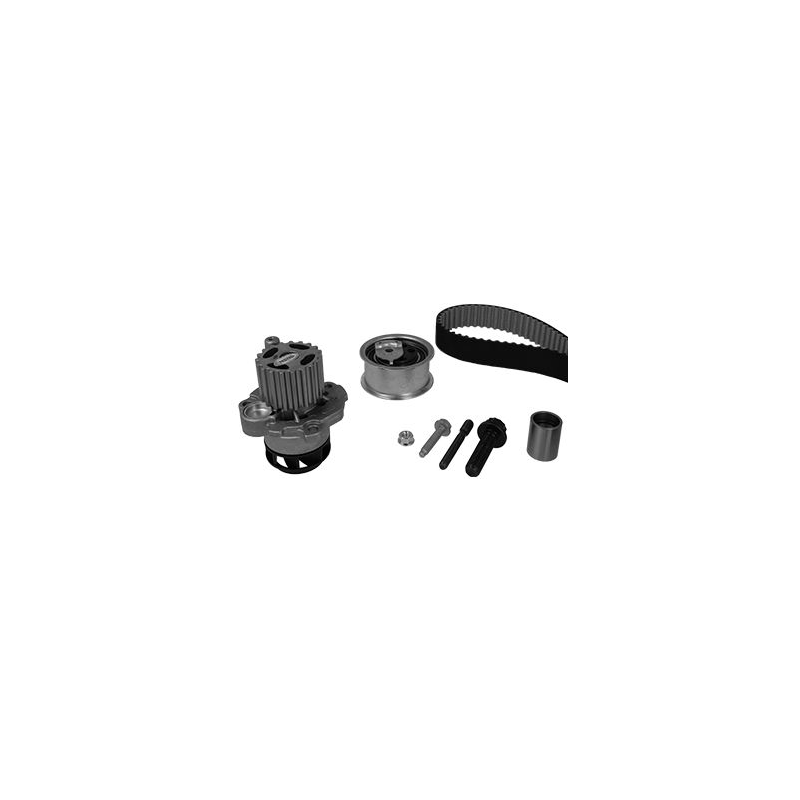 Cinghia/catena distribuzione - GRAF