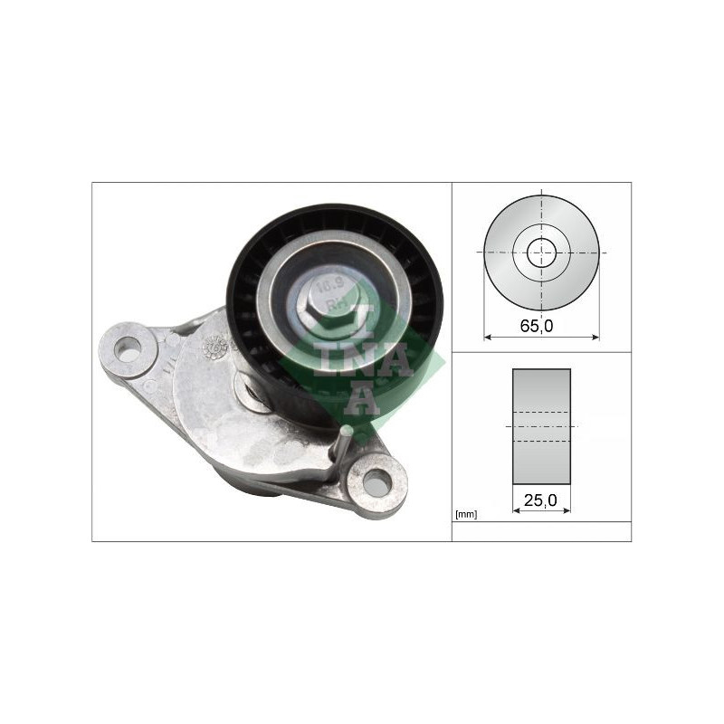 Tendicinghia trapezoidale - INA