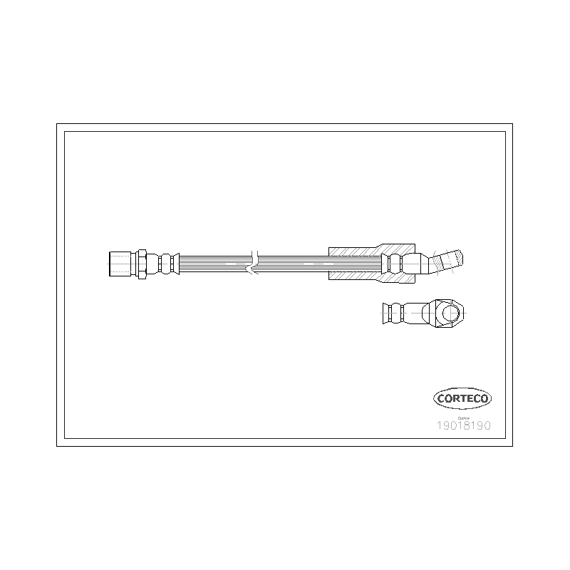 Flessibile freno asse anteriore - CORTECO