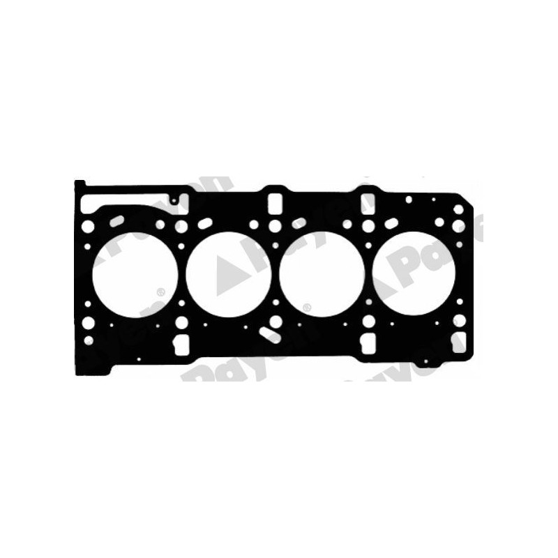 Guarnizione testata - PAYEN