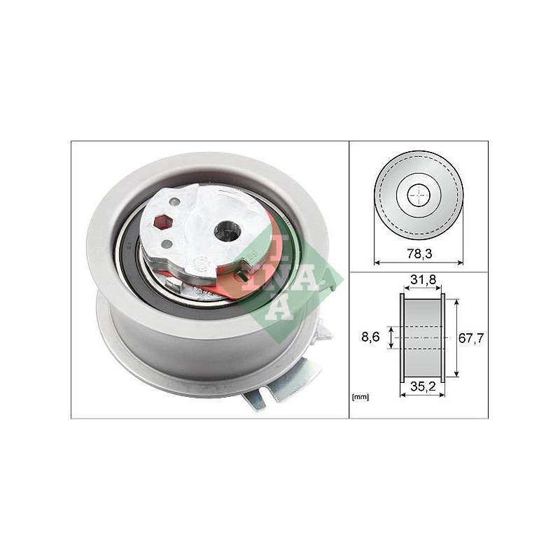 Tendicinghia distribuzione - INA