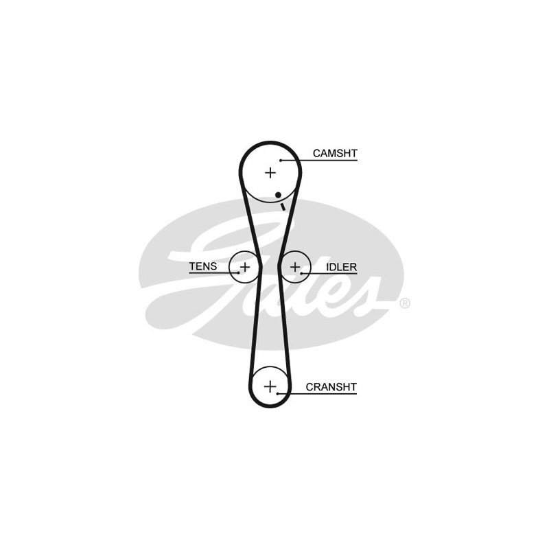 Cinghia/catena distribuzione - GATES