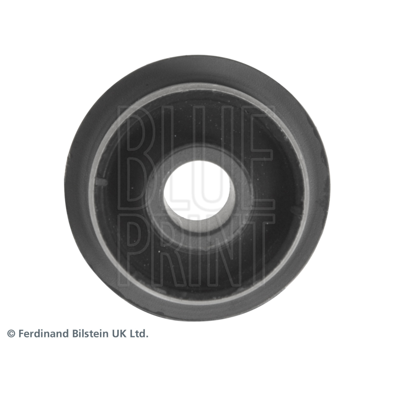 Supporto braccio oscillante - BLUE PRINT