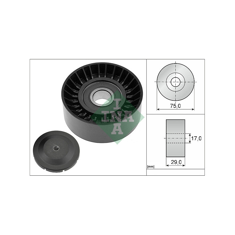 Tendicinghia trapezoidale - INA