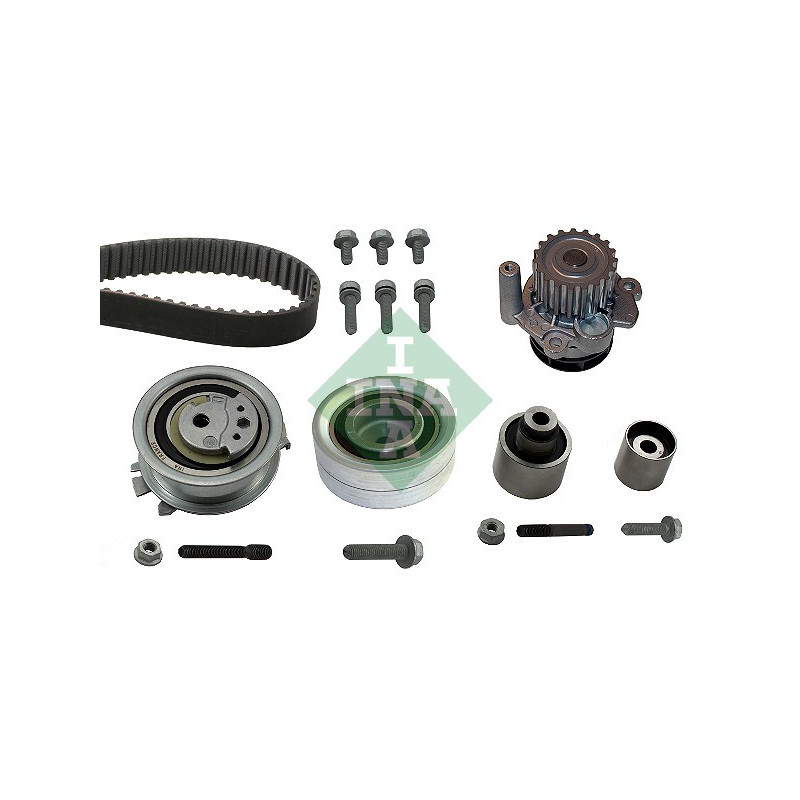 Tendicinghia trapezoidale - INA