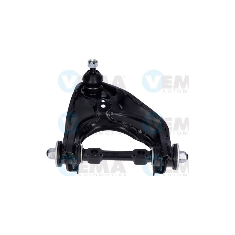 Braccio oscillante asse posteriore - VEMA