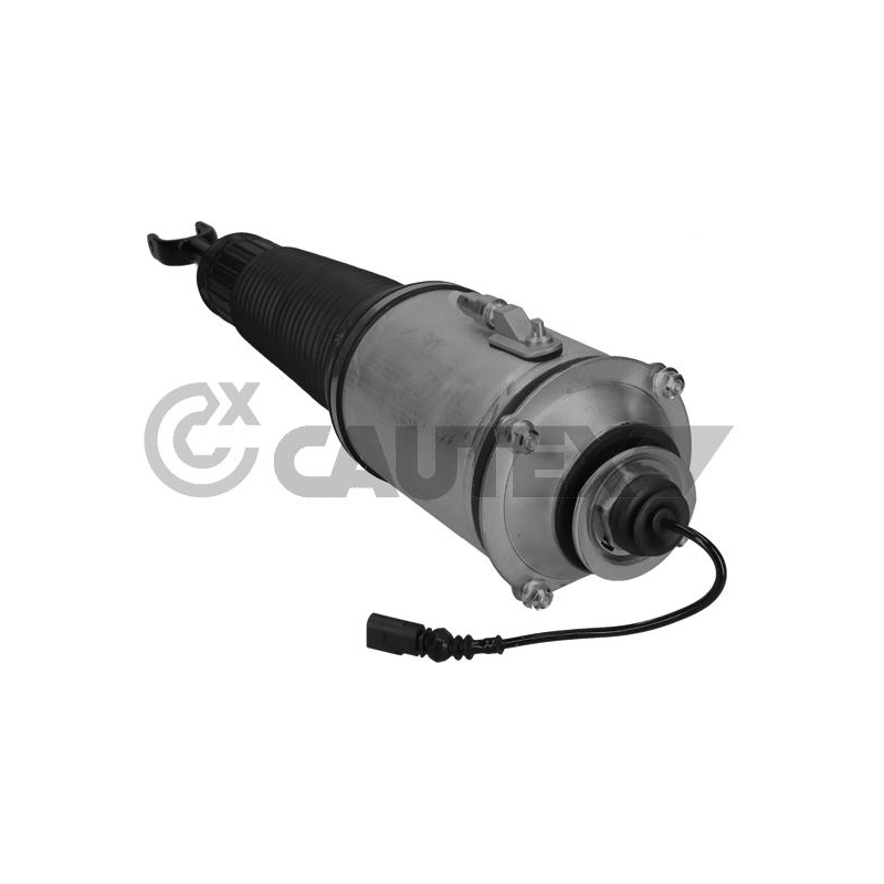 Ammortizzatore asse anteriore - CAUTEX GOMMA E PARTI MOTORE