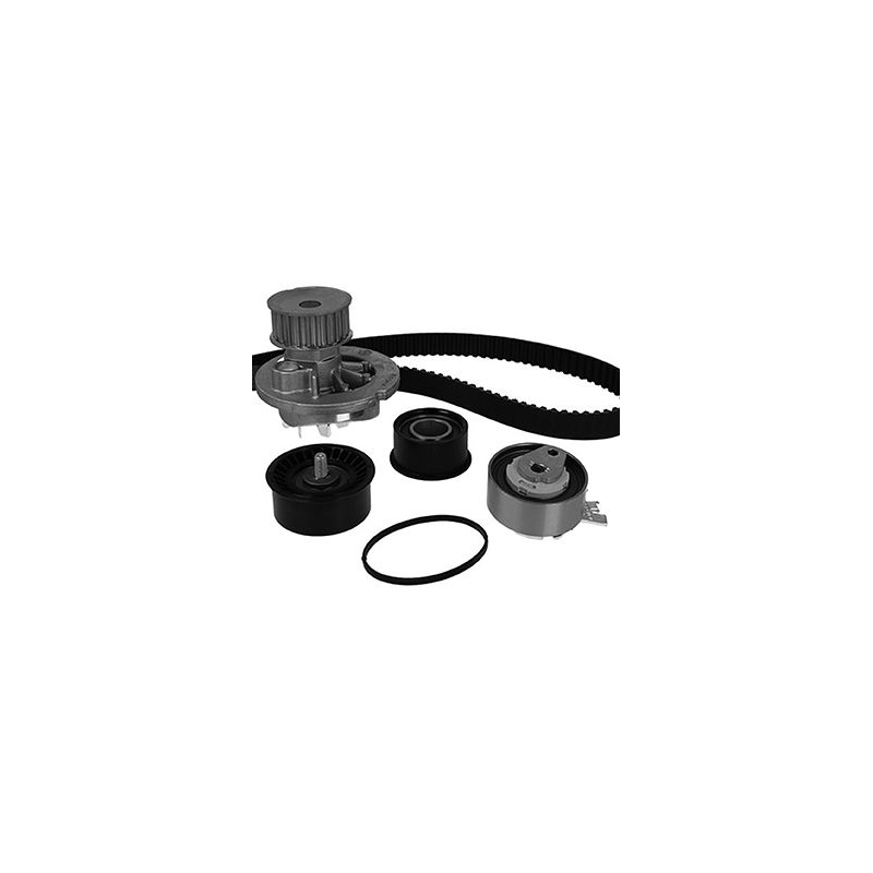 Tendicinghia distribuzione - GRAF