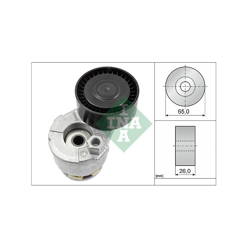 Tendicinghia trapezoidale - INA