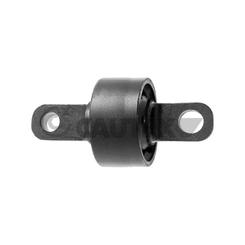 Braccio oscillante asse posteriore - CAUTEX GOMMA E PARTI MOTORE