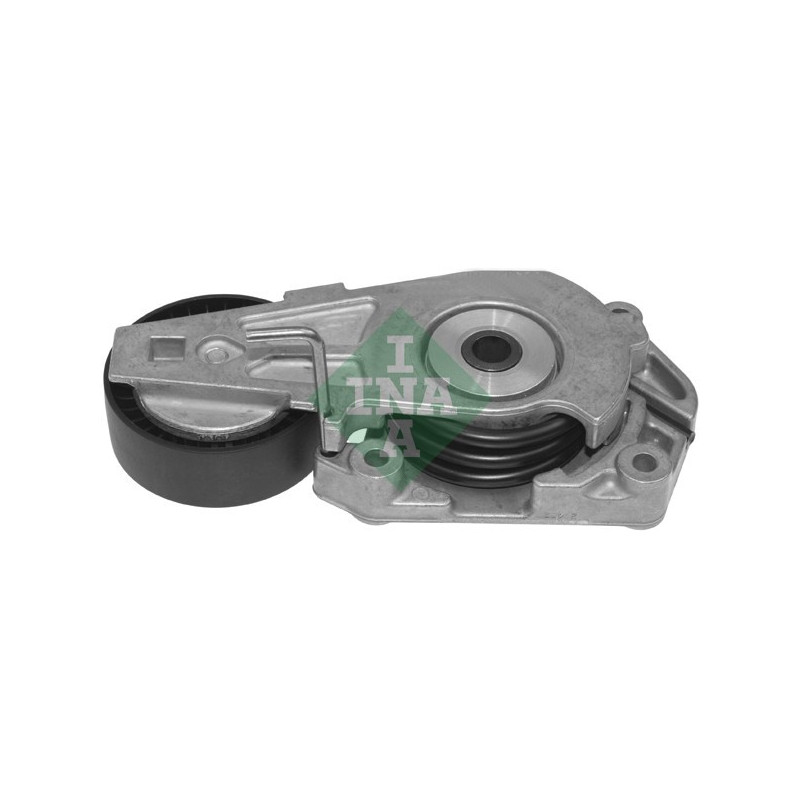 Tendicinghia trapezoidale - INA