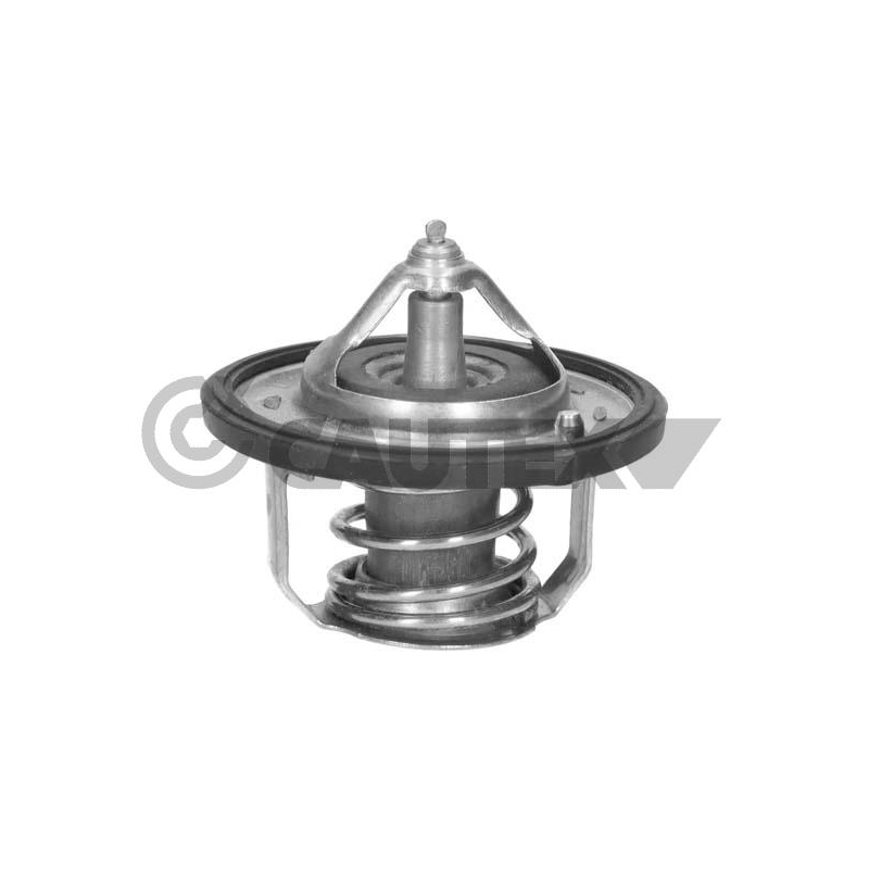 Termostato raffreddamento - CAUTEX GOMMA E PARTI MOTORE