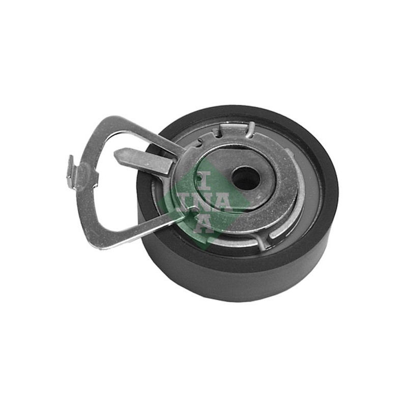 Tendicinghia distribuzione - INA