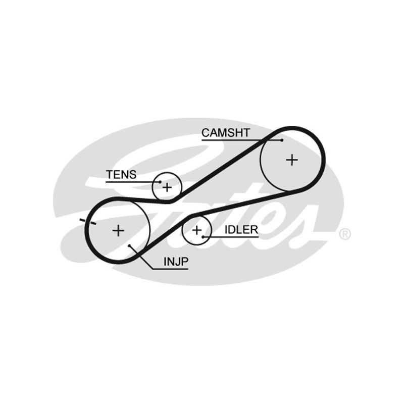 Cinghia/catena distribuzione - GATES