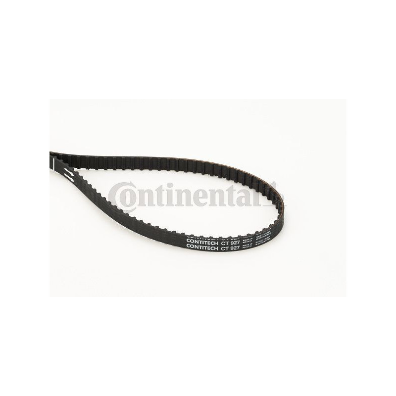 Cinghia/catena distribuzione - CONTITECH