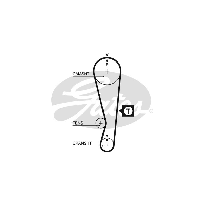 Cinghia/catena distribuzione - GATES