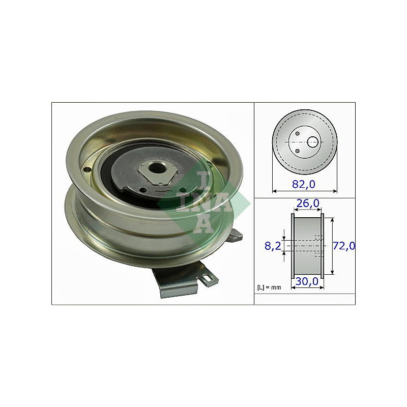 Tendicinghia distribuzione - INA