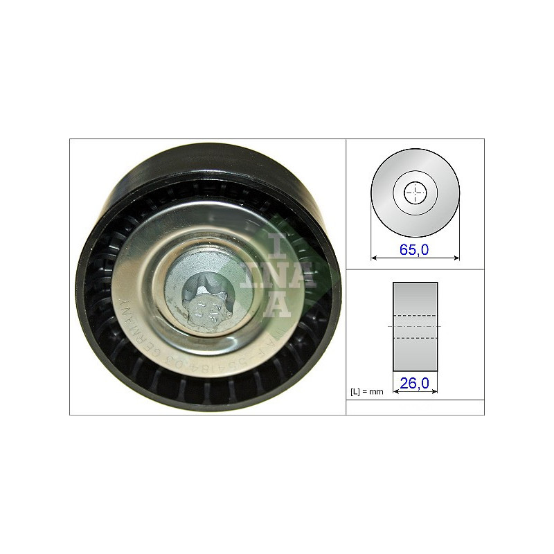 Tendicinghia trapezoidale - INA