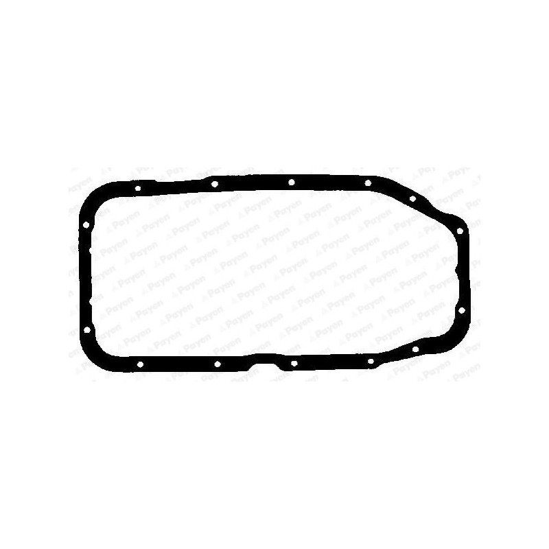 Tendicinghia trapezoidale - PAYEN