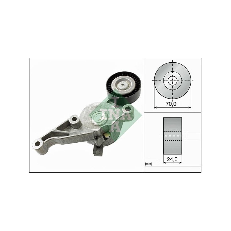 Tendicinghia trapezoidale - INA