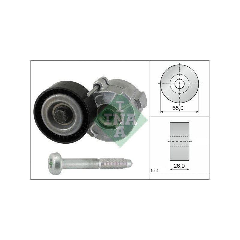 Tendicinghia trapezoidale - INA