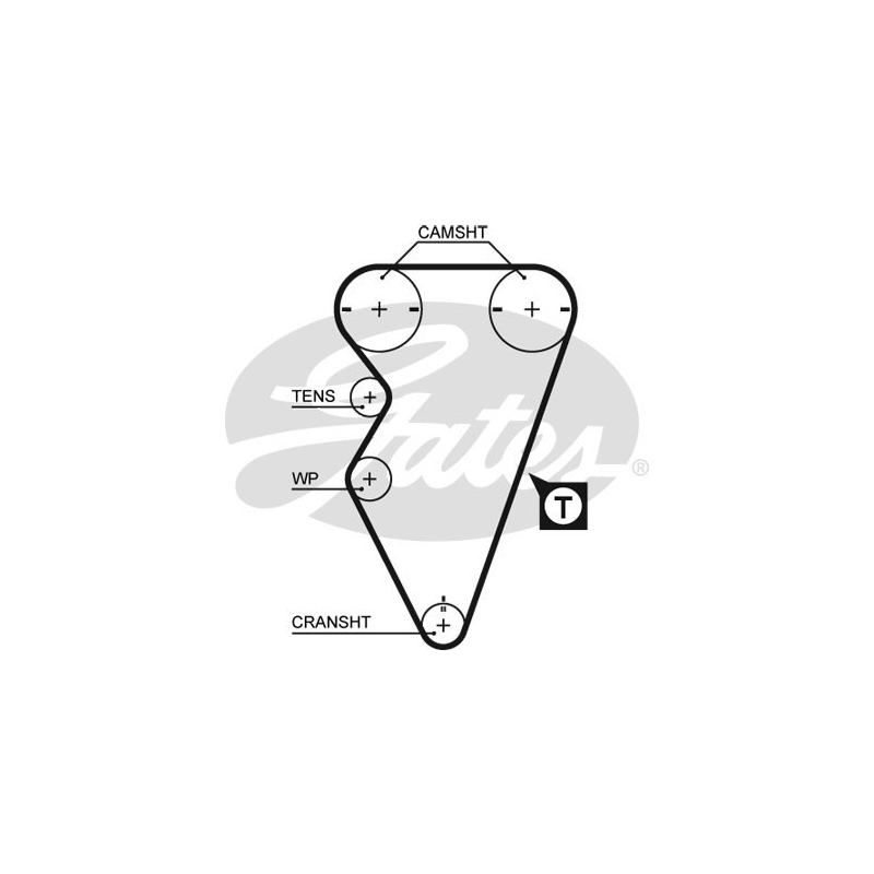 Cinghia/catena distribuzione - GATES