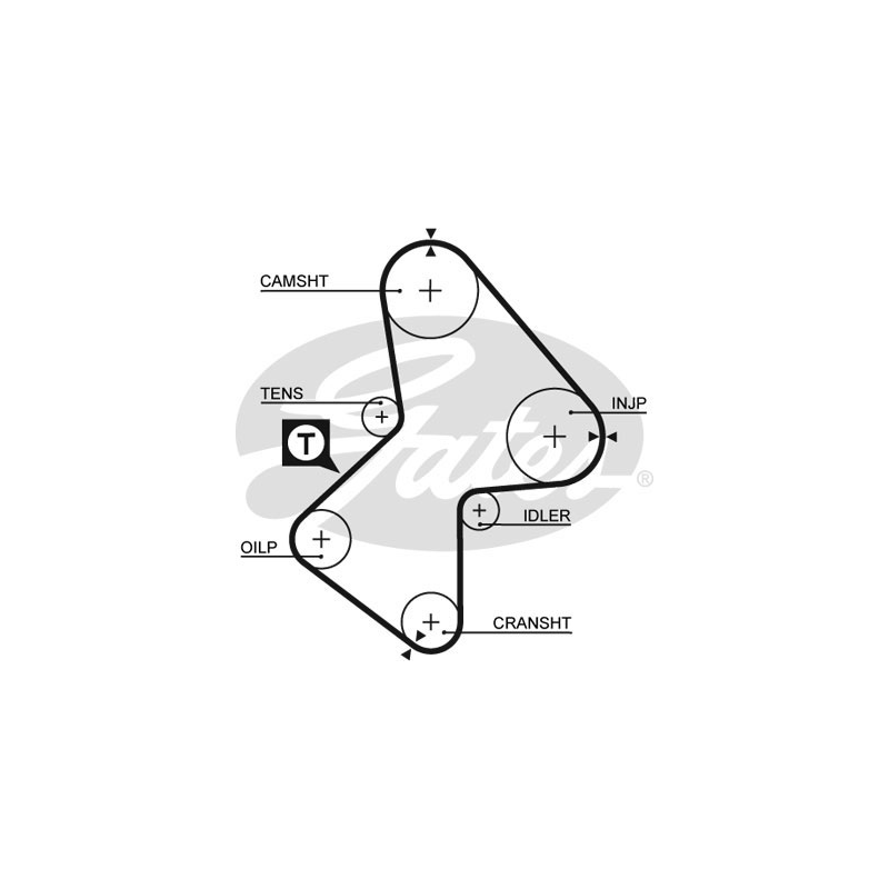 Cinghia/catena distribuzione - GATES
