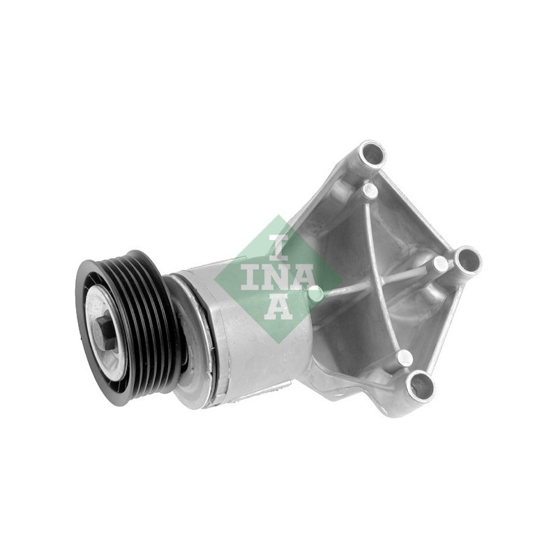 Tendicinghia trapezoidale - INA