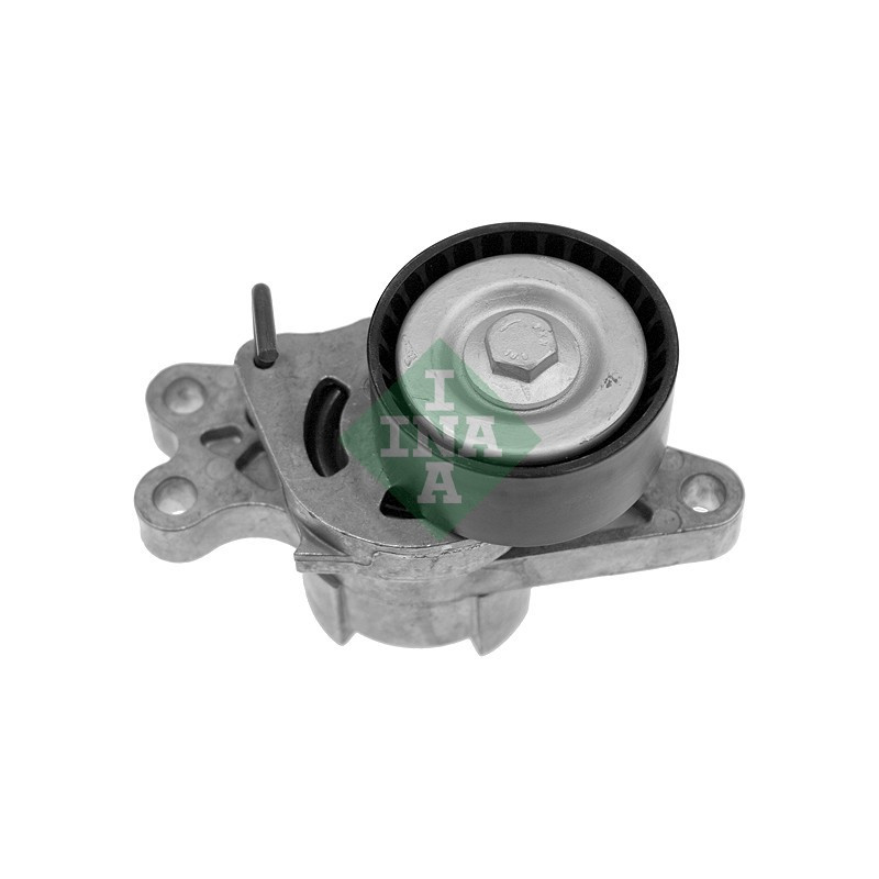 Tendicinghia trapezoidale - INA