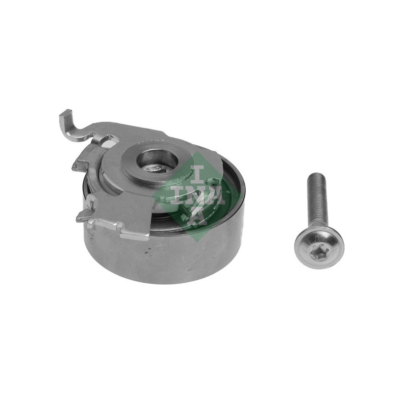 Tendicinghia distribuzione - INA