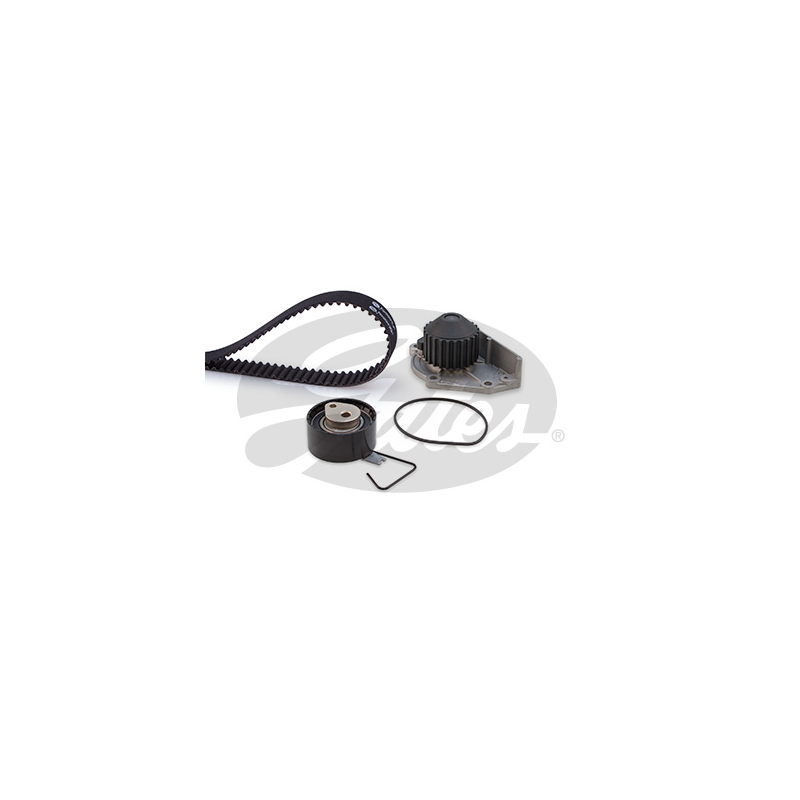 Kit distribuzione - GATES