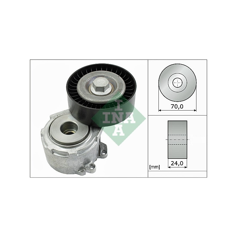 Tendicinghia trapezoidale - INA