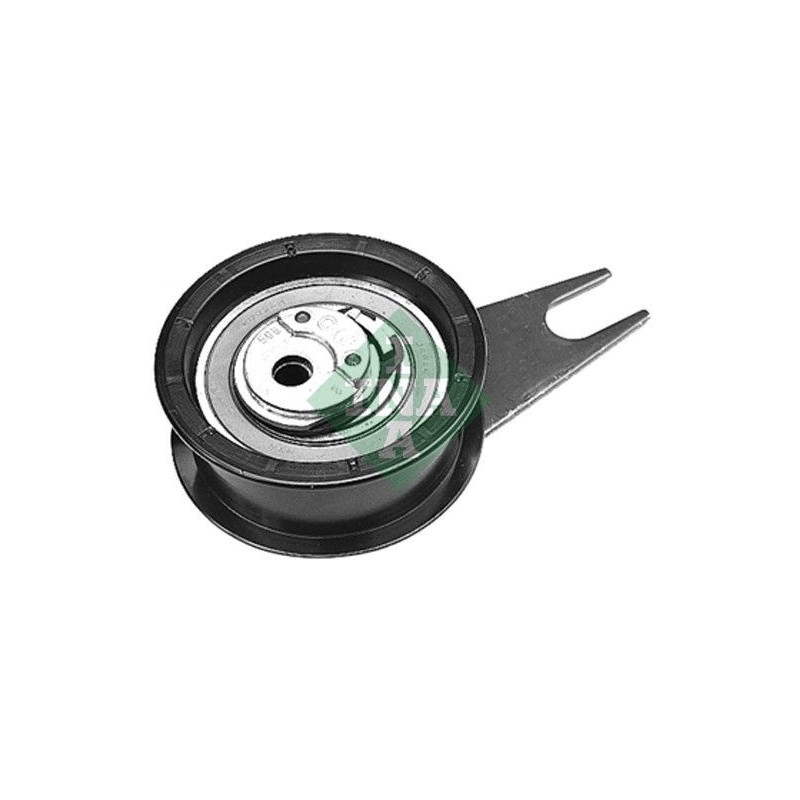 Tendicinghia distribuzione - INA