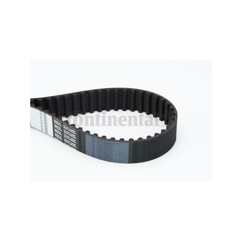 Cinghia/catena distribuzione - CONTITECH