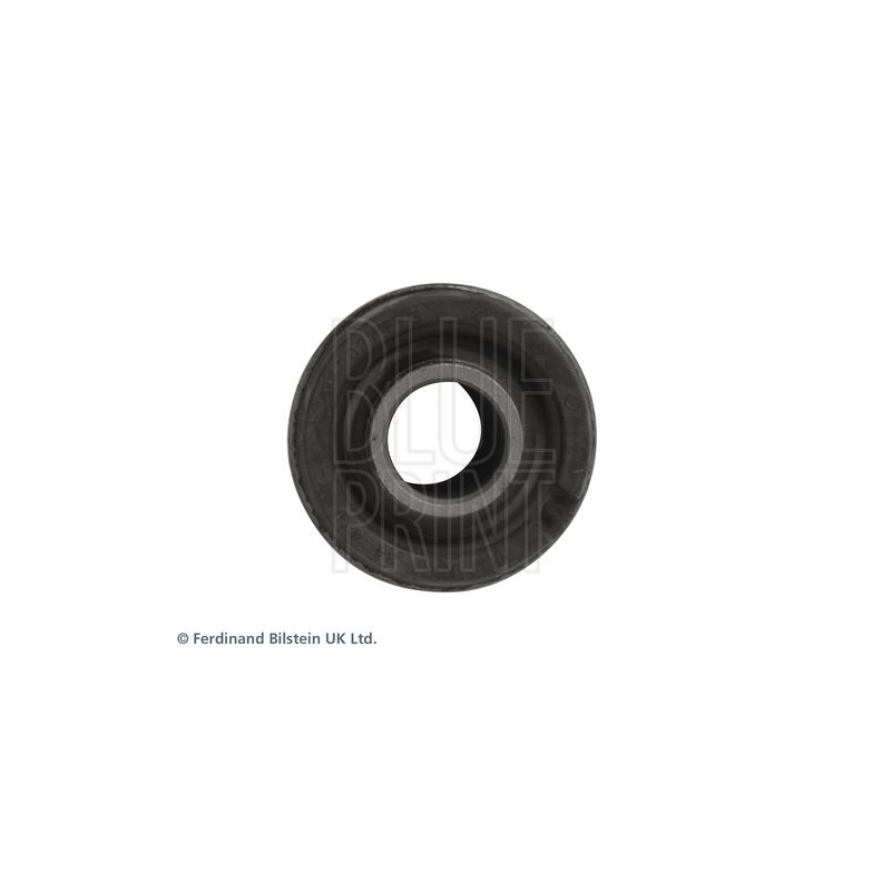 Supporto braccio oscillante - BLUE PRINT