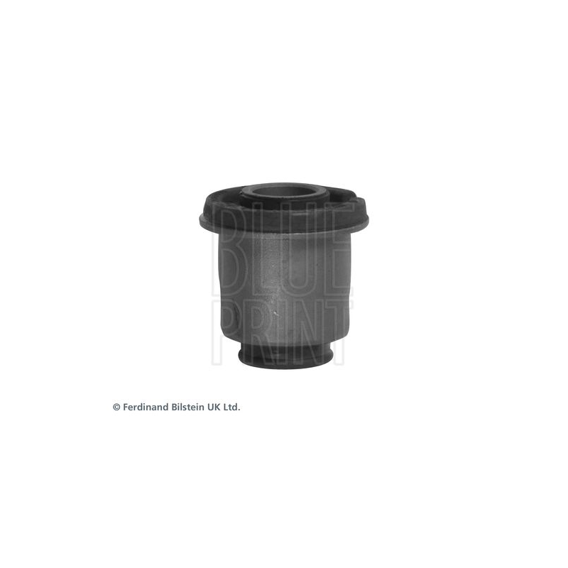 Supporto braccio oscillante - BLUE PRINT