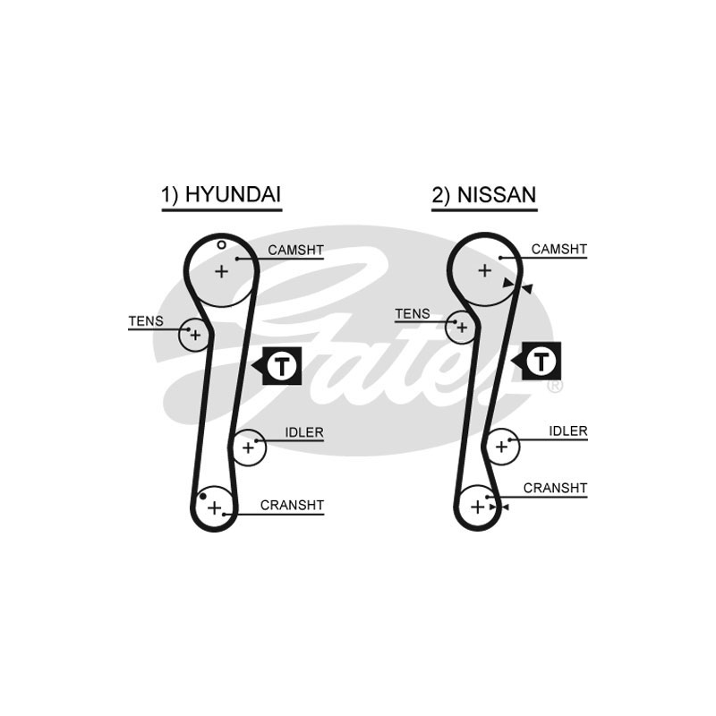 Cinghia/catena distribuzione - GATES