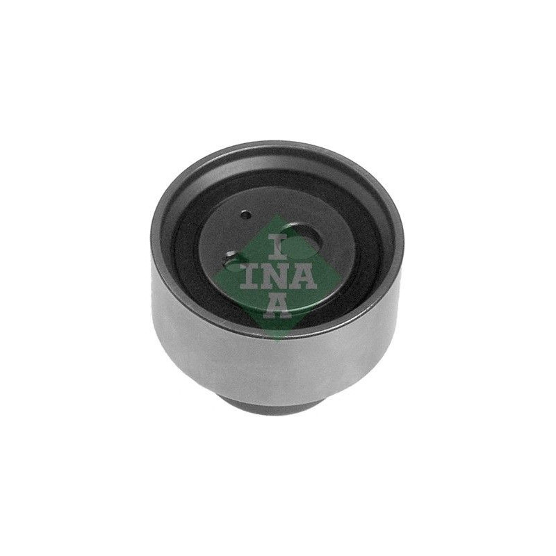 Tendicinghia distribuzione - INA